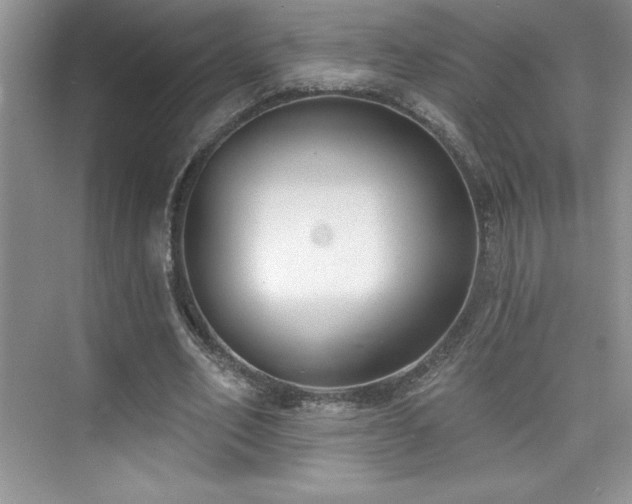 X0000076240582200609281142