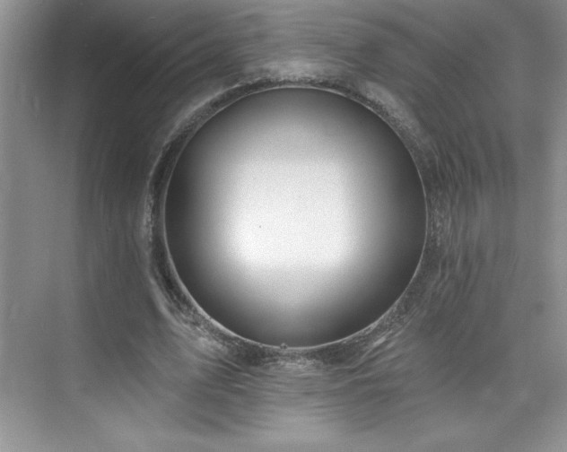 X0000076240583200609281142