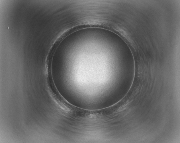 X0000076240584200609281142