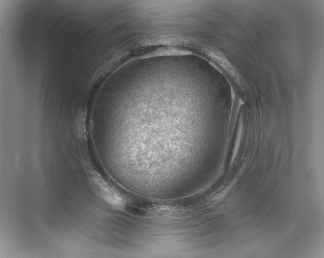 X0000076240585200609281142