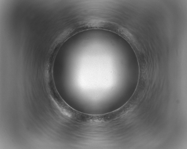 X0000076240586200609281142