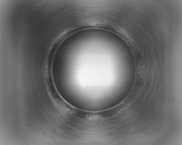 X0000076240587200609281142