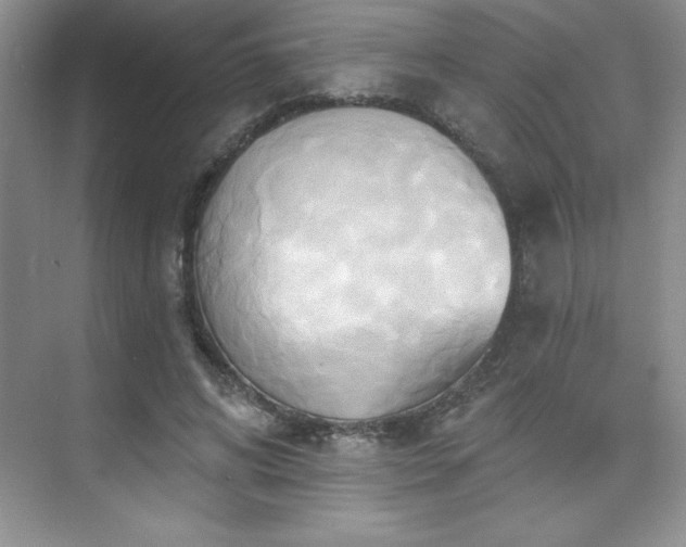 X0000076240592200609281142