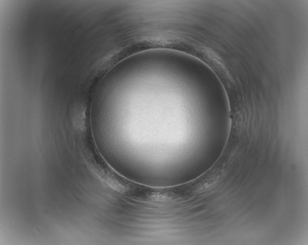 X0000076240596200609281142