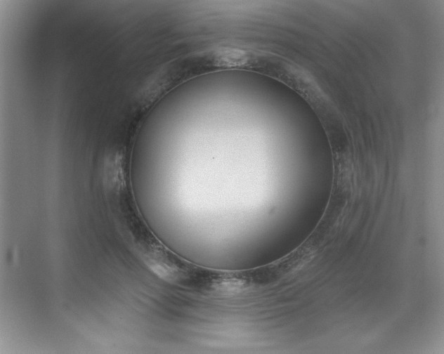 X0000076240598200609281142