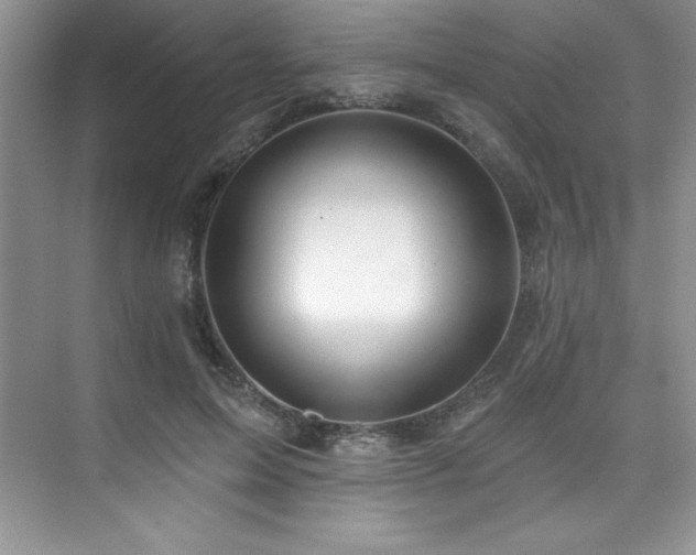 X0000076240599200609281142