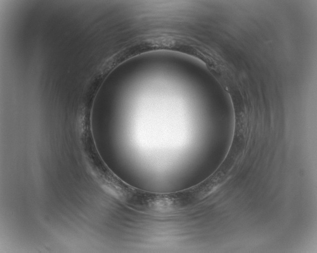 X0000076240600200609281142