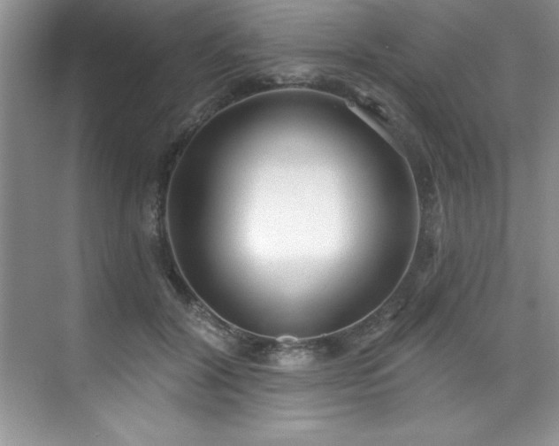 X0000076240604200609281142