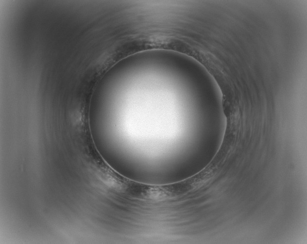 X0000076240608200609281142