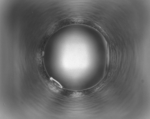 X0000076240609200609281142