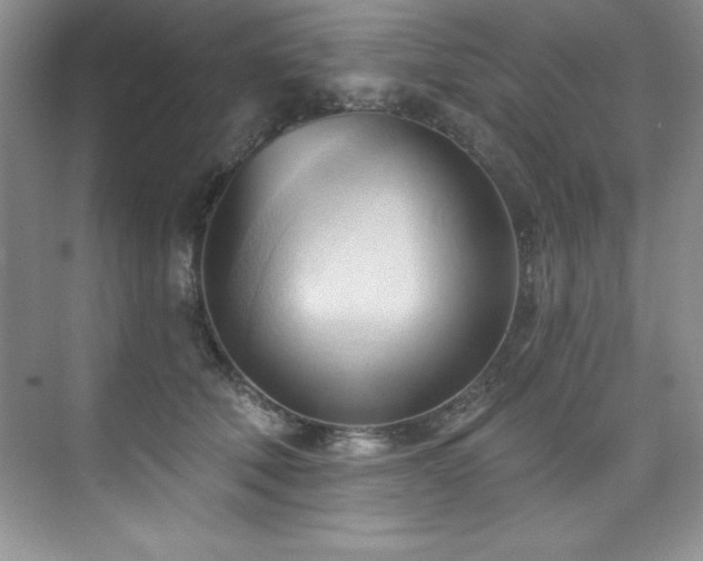 X0000076240610200609281142