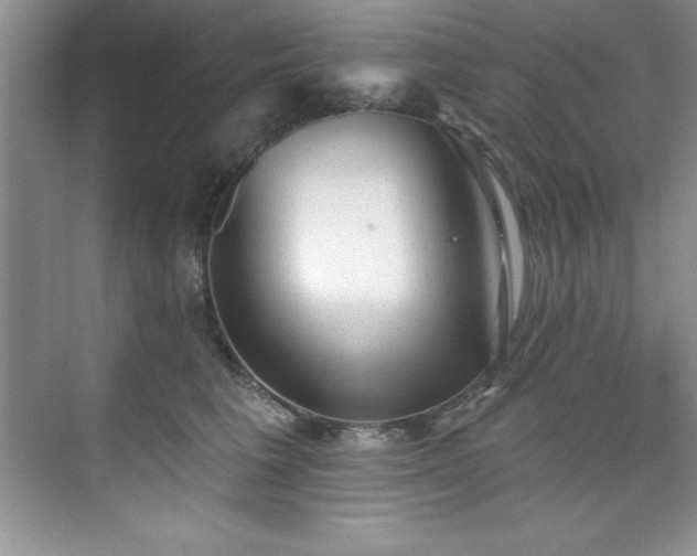 X0000076240613200609281142