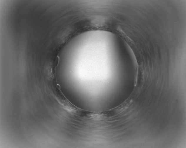 X0000076240615200609281142