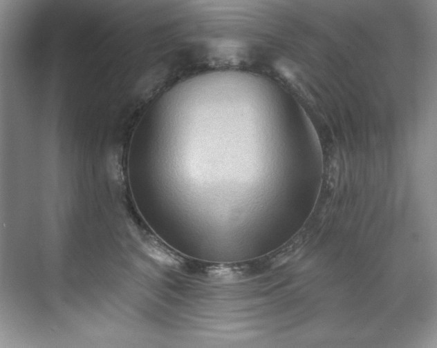 X0000076240616200609281142