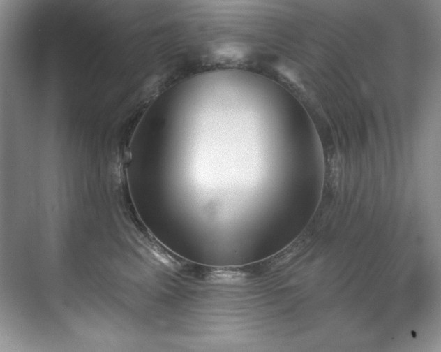 X0000076240617200609281142