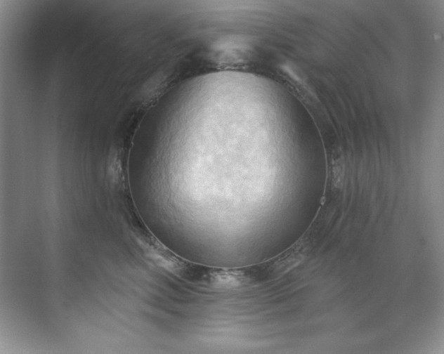 X0000076240618200609281142