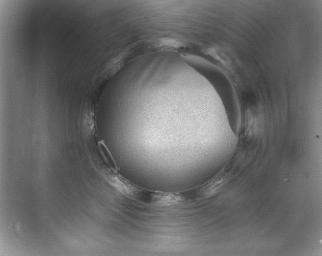X0000076240621200609281142
