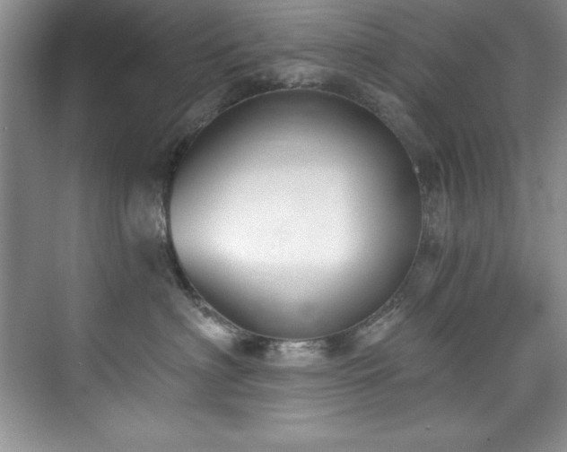 X0000076240622200609281142