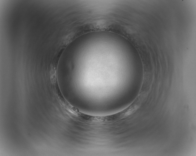 X0000076240624200609281141