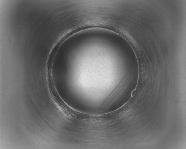 X0000076240626200609281141