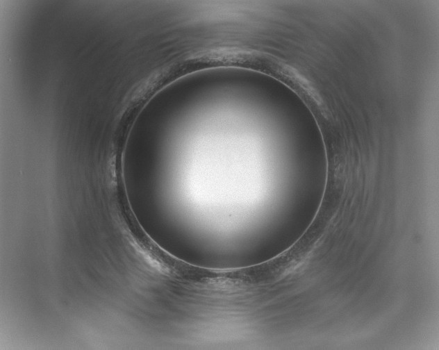 X0000076240633200609281141