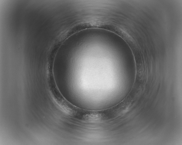 X0000076240639200609281141