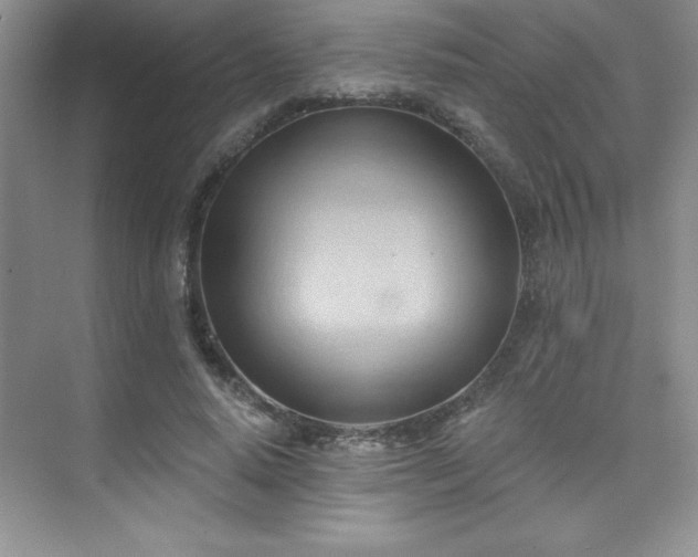 X0000076240640200609281141