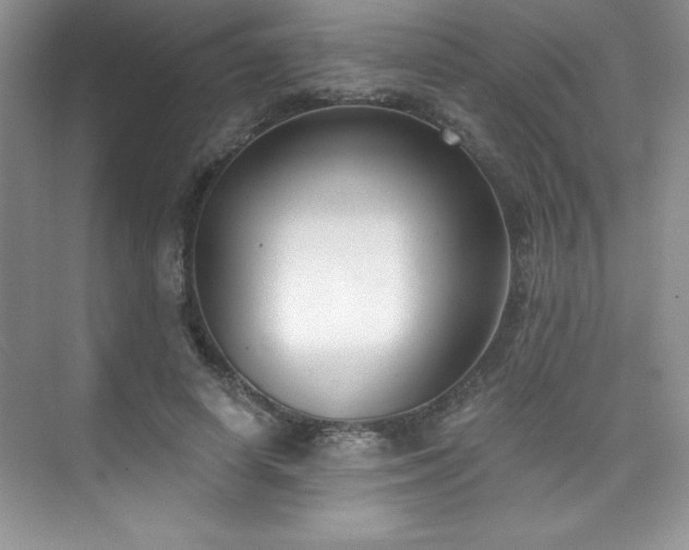 X0000076240642200609281141