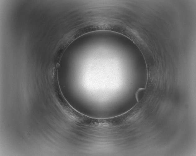 X0000076240645200609281141