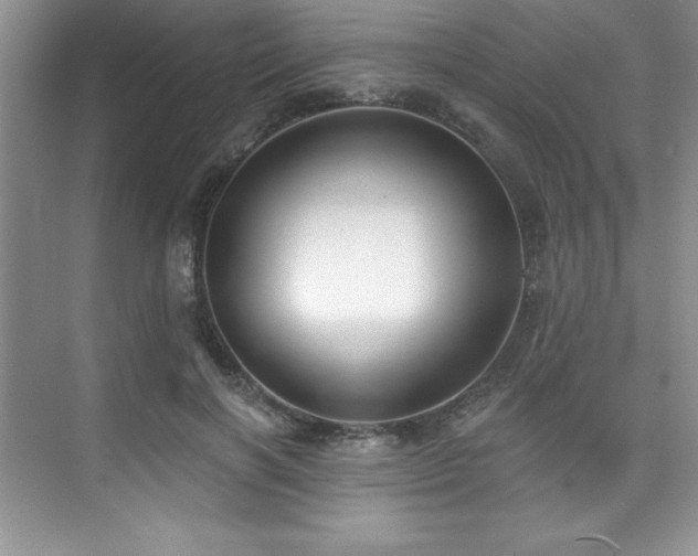 X0000076240646200609281141
