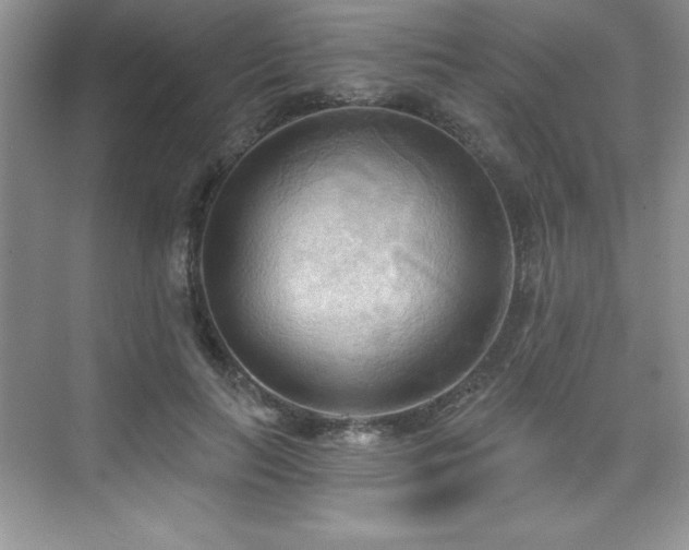 X0000076240647200609281141