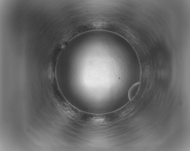 X0000076240651200609281141