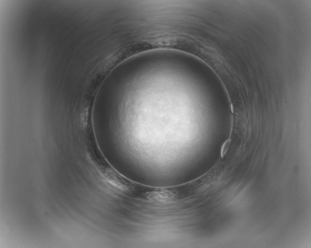 X0000076240652200609281141