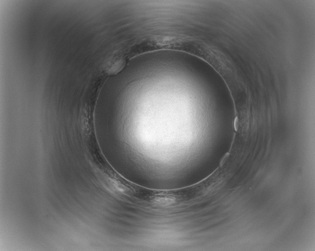 X0000076240653200609281141