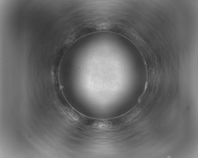 X0000076240655200609281141
