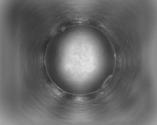 X0000076240657200609281141