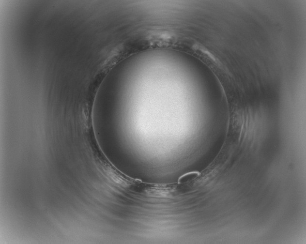 X0000076240661200609281141