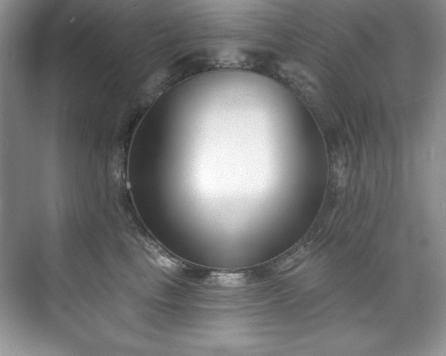 X0000076240665200609281141