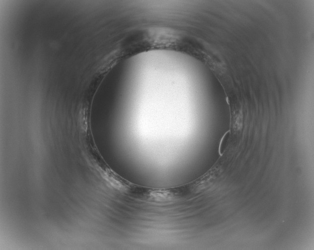 X0000076240666200609281141