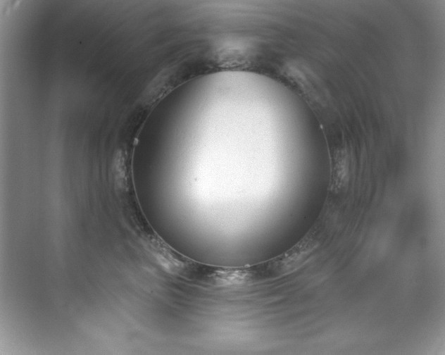 X0000076240667200609281141