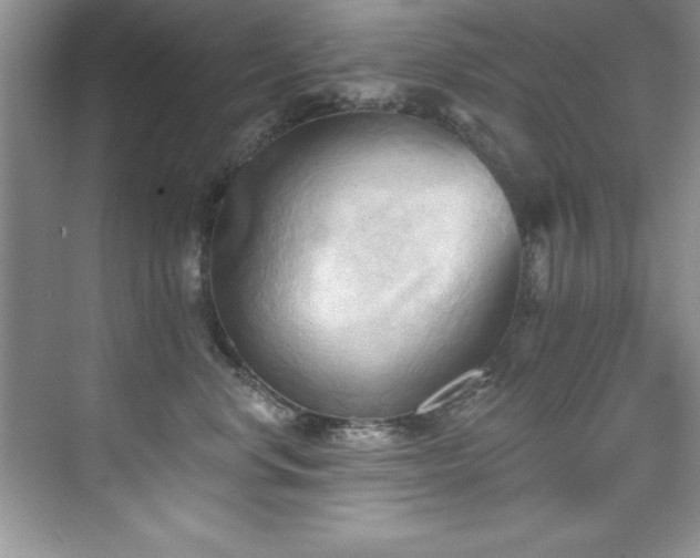 X0000076240668200609281141