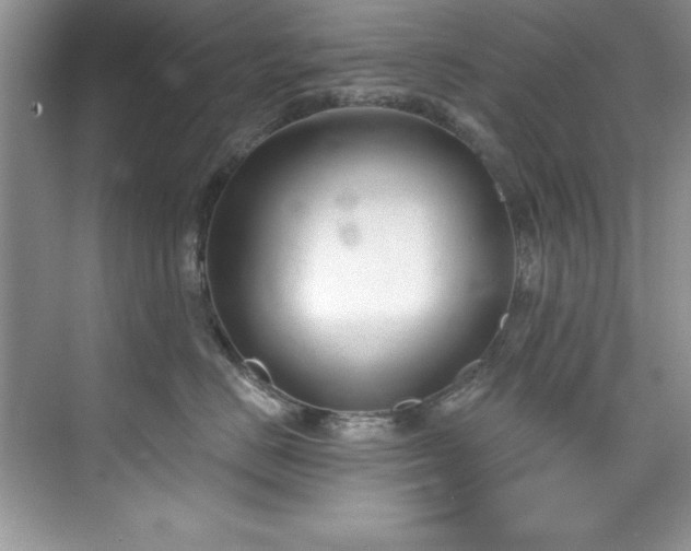 X0000076240670200609281141