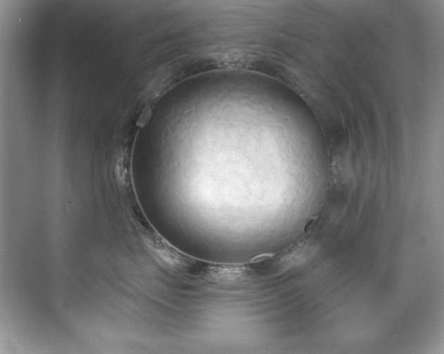 X0000076240671200609281141