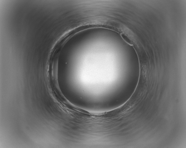 X0000076240676200609281141