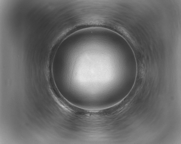 X0000076240677200609281141