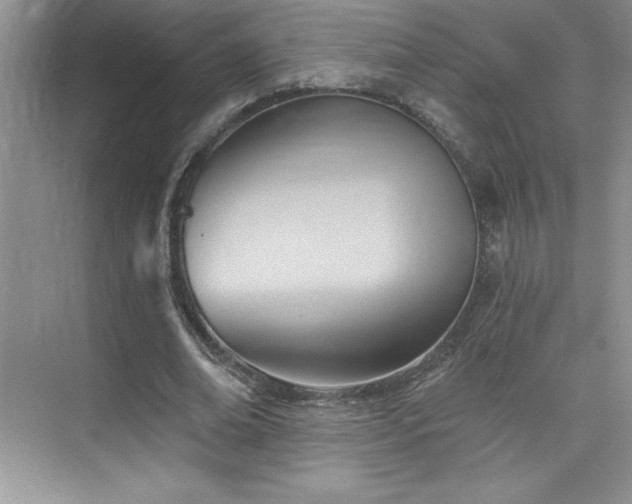 X0000076240678200609281141