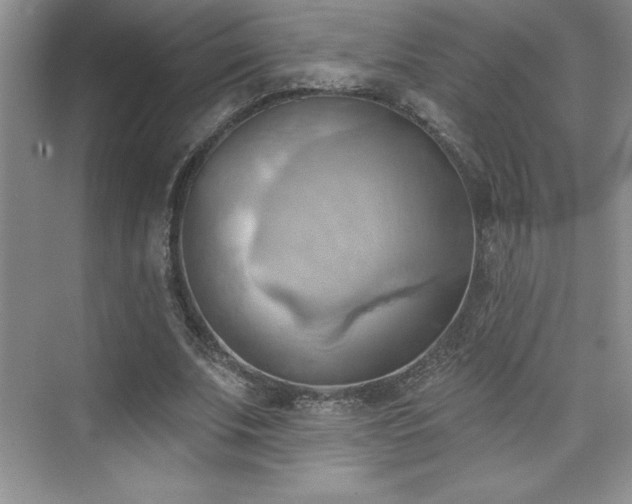 X0000076240679200609281141