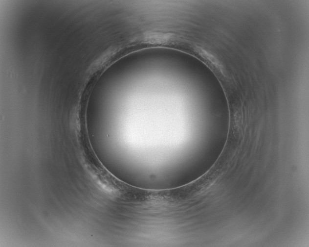 X0000076240682200609281141
