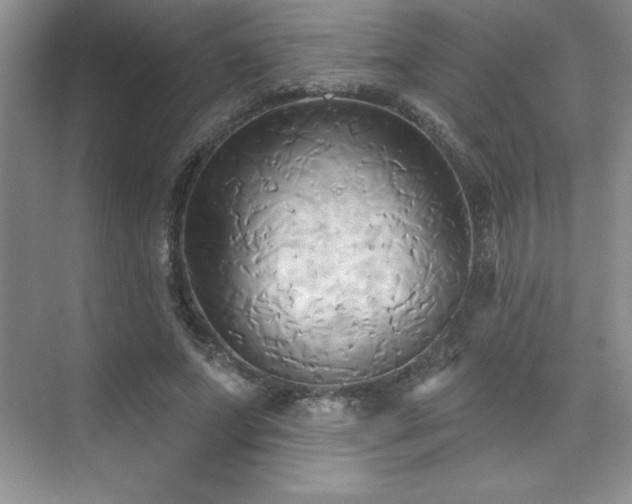 X0000076240687200609281140