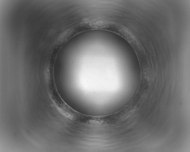 X0000076240690200609281140